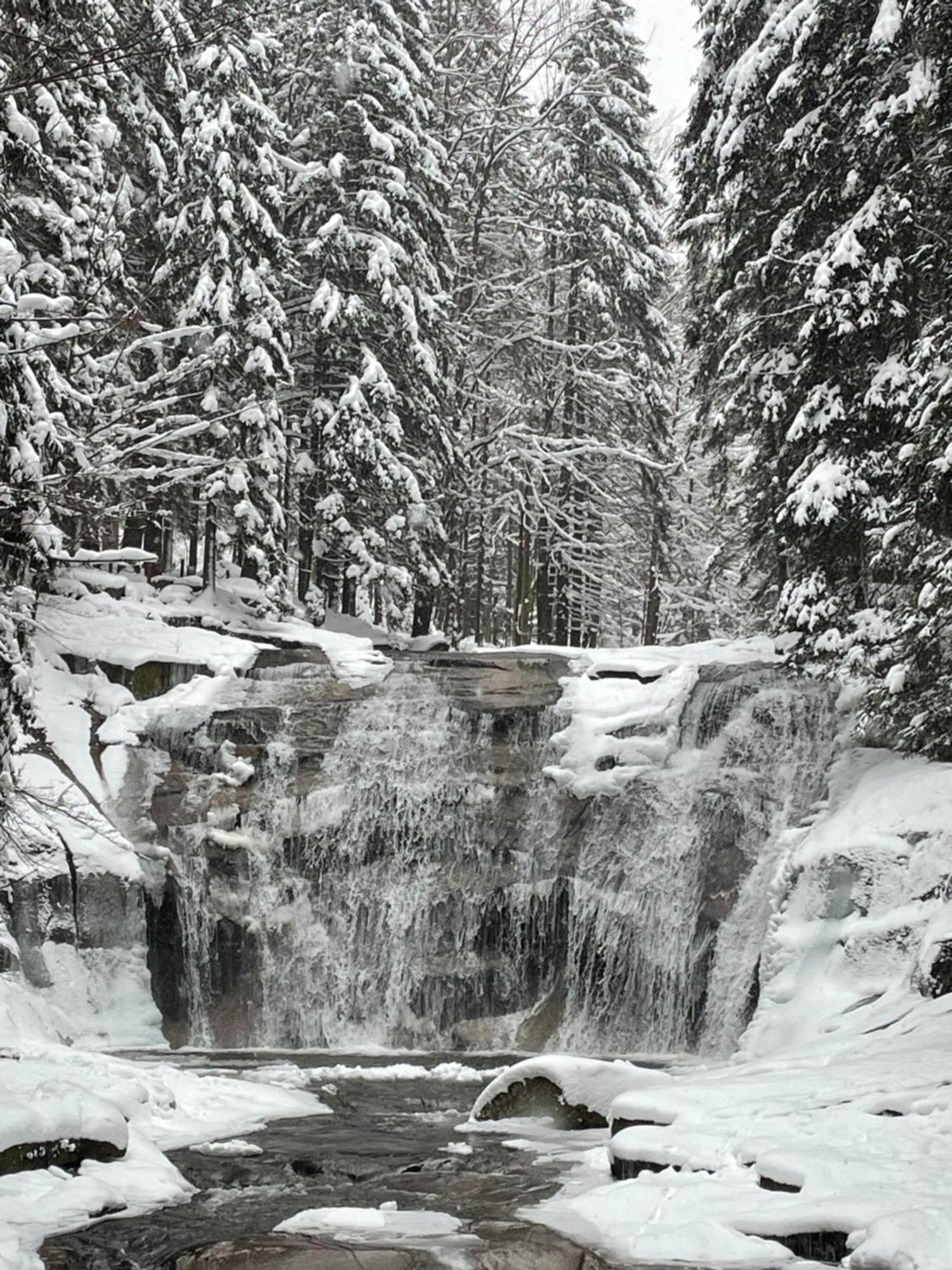 Spirit Harrachov Superior Wellness Apartments - Free Wellness, Wifi, Parking, Harrachov Card Eksteriør bilde
