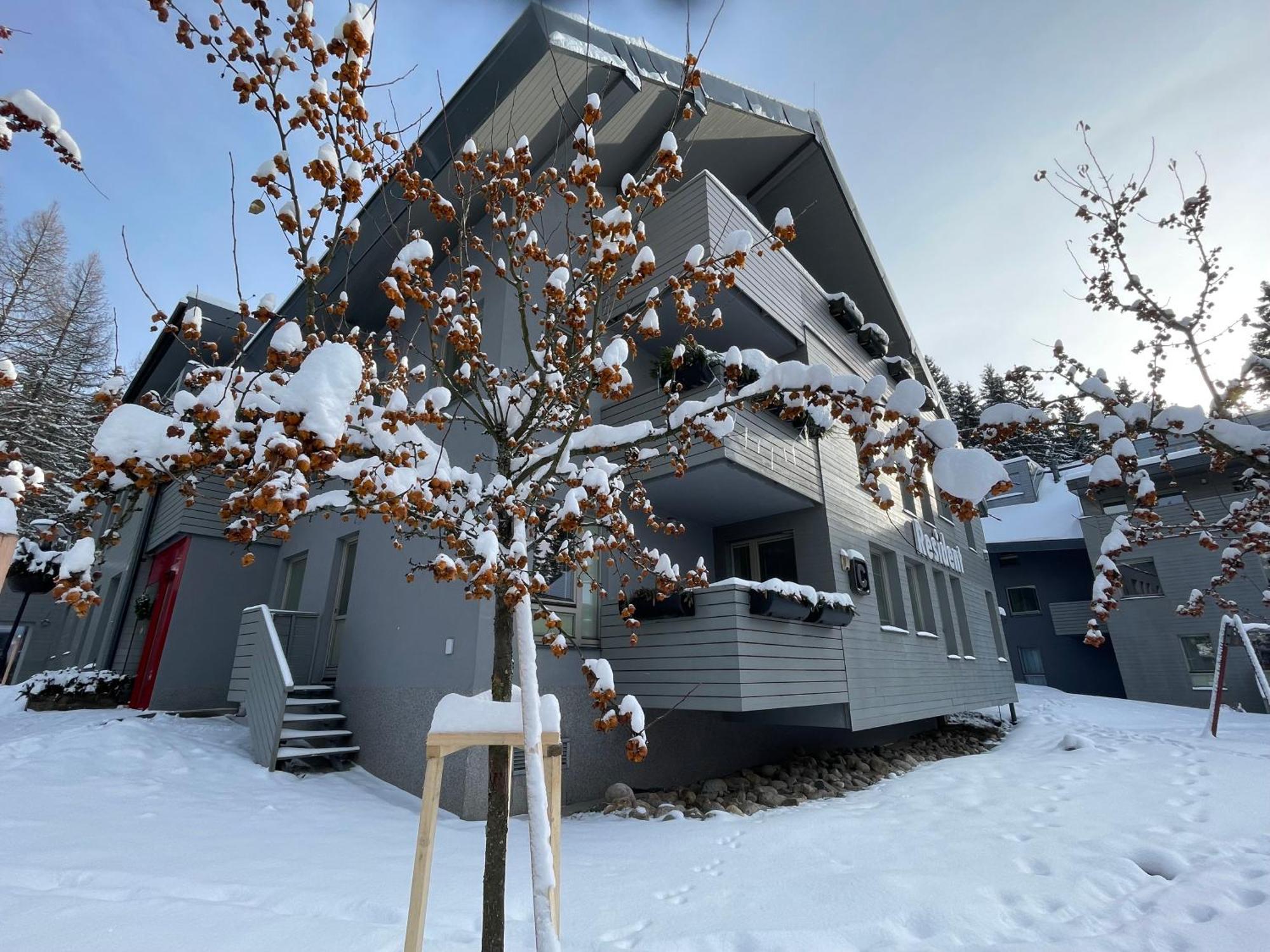 Spirit Harrachov Superior Wellness Apartments - Free Wellness, Wifi, Parking, Harrachov Card Eksteriør bilde
